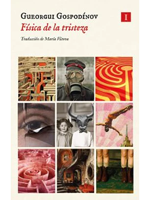 Fisica De La Tristeza