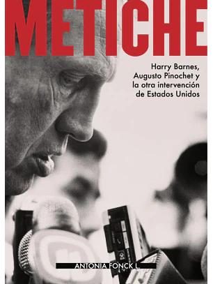 Metiche