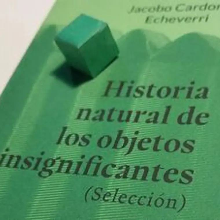 Historia Natural De Los Objetos Insignificantes (Selección) 1