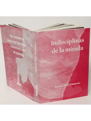 Indisciplinas De La Mirada