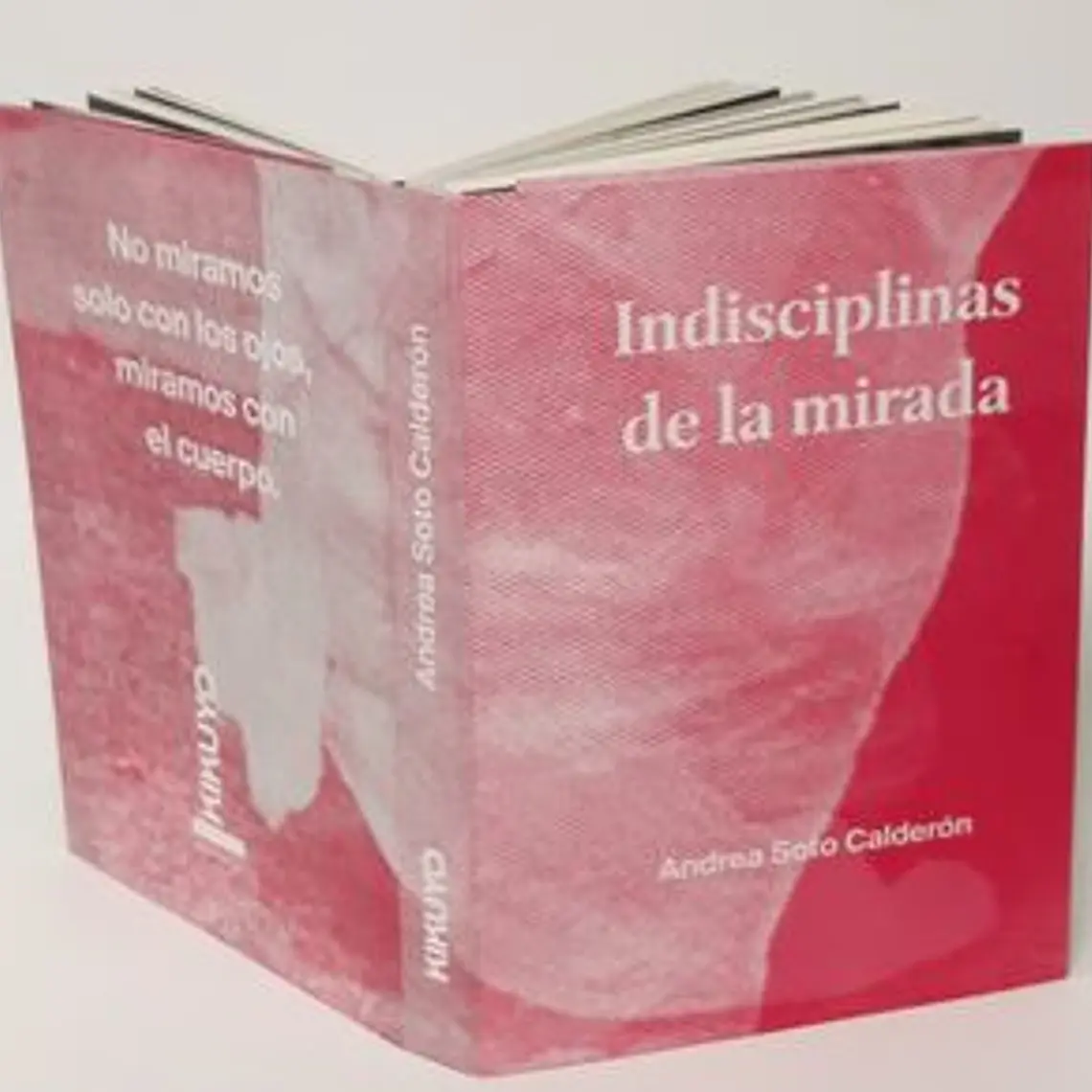 Indisciplinas De La Mirada 1