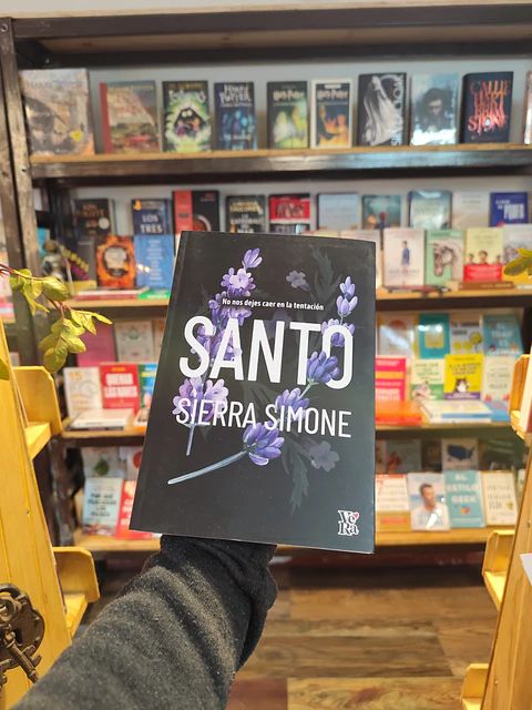 SANTO libro 3 TB