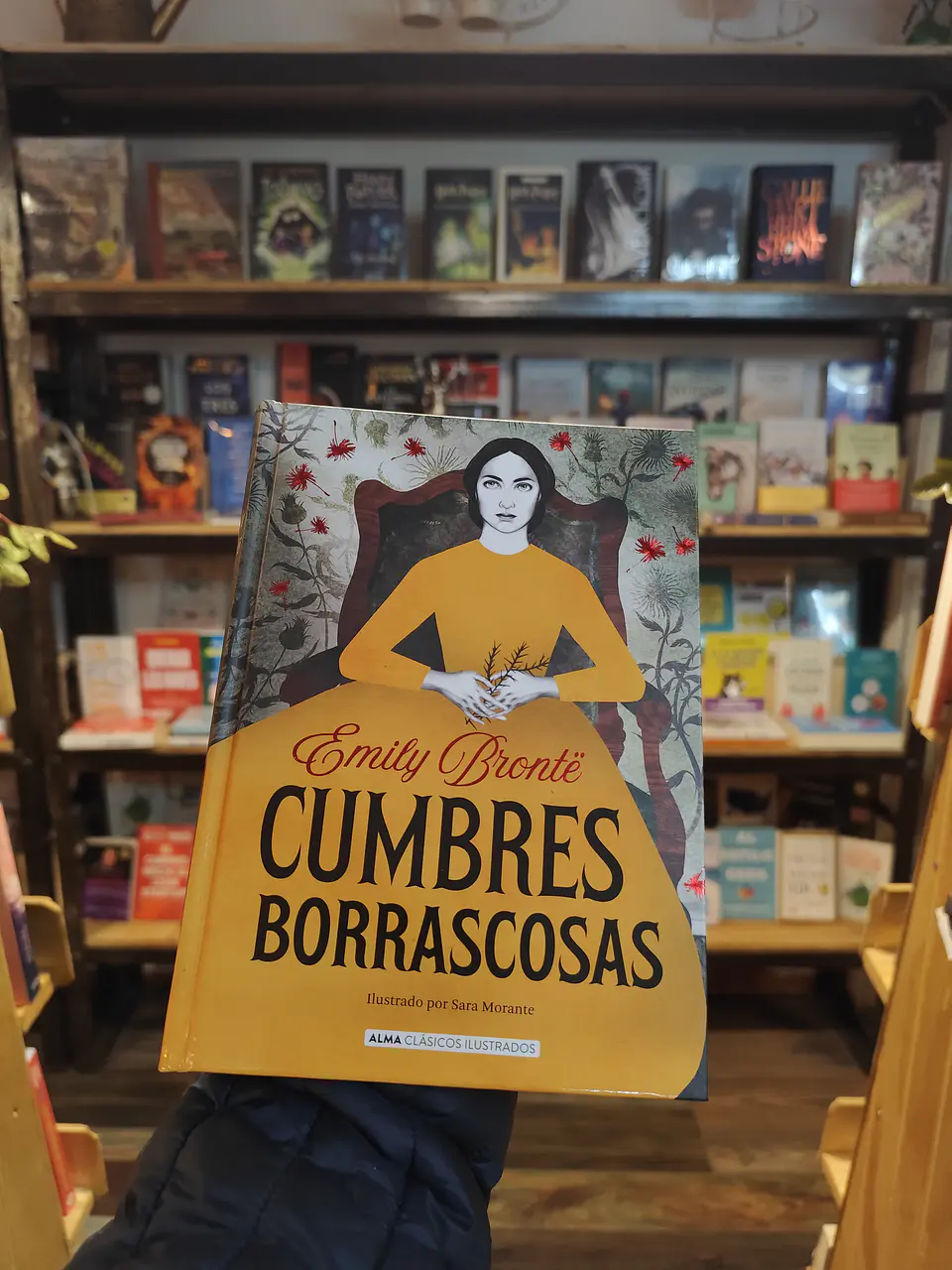 Cumbres Borrascosas ALMA C.I TD 1