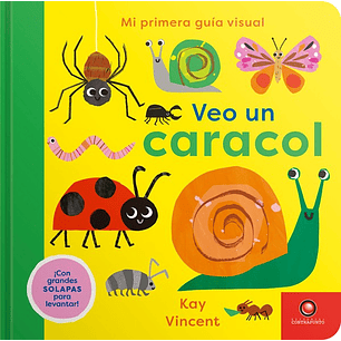 Mi Primera Guia Visual Veo Un Caracol - Vincent, Kay