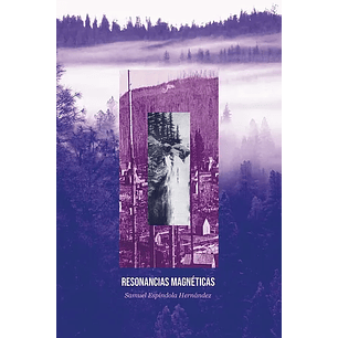 Resonancias Magneticas - Espindola Hernandez, Samuel