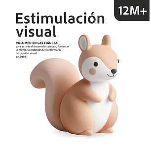 Estimulacion Visual 12m+ (Bb) - Sin Autor