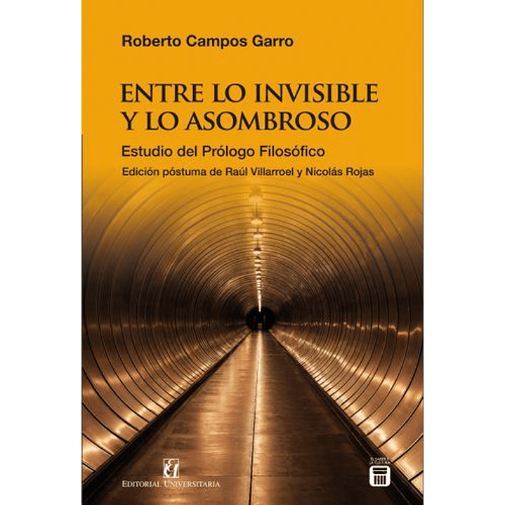 Entre Lo Invisible Y Lo Asombroso - Campos Garro, Roberto 1