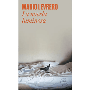La Novela Luminosa - Levrero, Mario