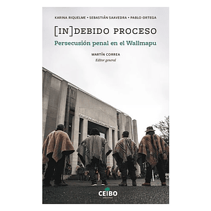 Indebido Proceso - Correa, Martin