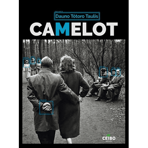 Camelot - Totoro Taulis, Dauno