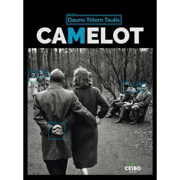 Camelot - Totoro Taulis, Dauno 1