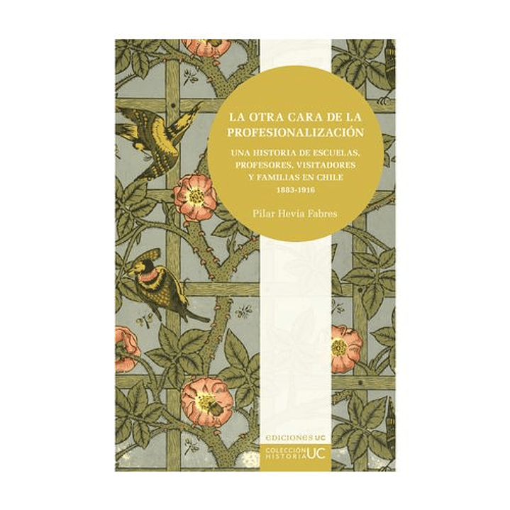 La Otra Cara De La Profesionalizacion. Una Historia De Escuelas, Profesores, Visitadores Y Familias En Chile 1883-1916  	} - Hevia, Pilar 1