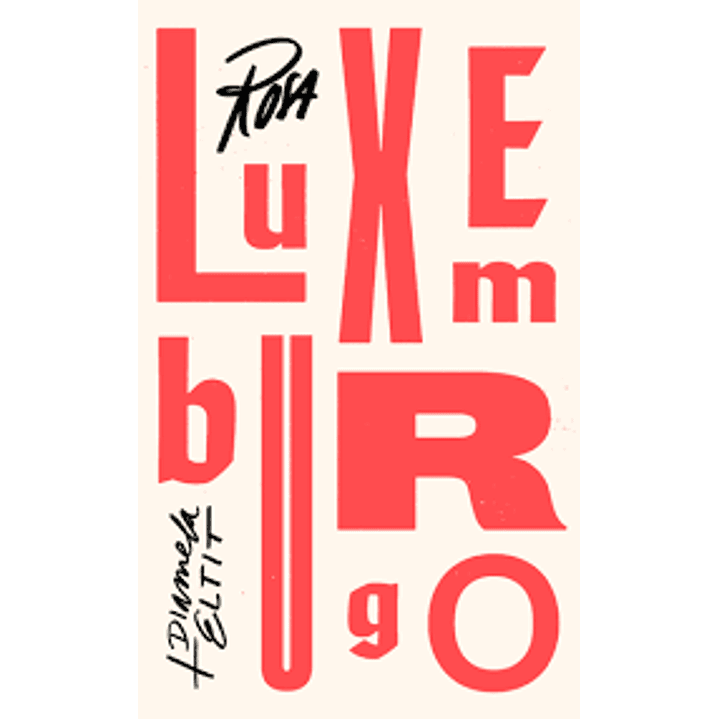 Dime Cuando Vienes Cartas De Amor 1893 1917 - Luxemburgo, Rosa 1