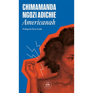 Americanah - Ngozi Adichie, Chimamanda