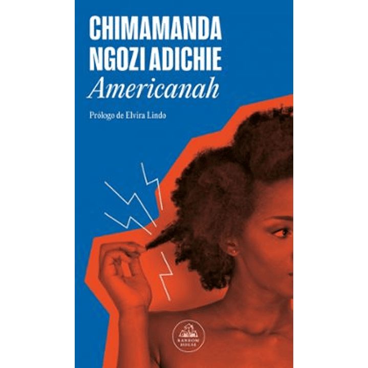 Americanah - Ngozi Adichie, Chimamanda 1