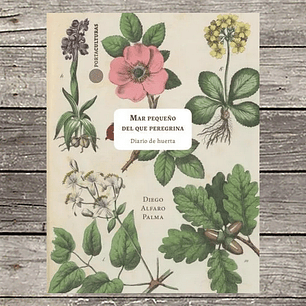 Mar Pequeño Del Que Peregrina - Alfaro, Diego