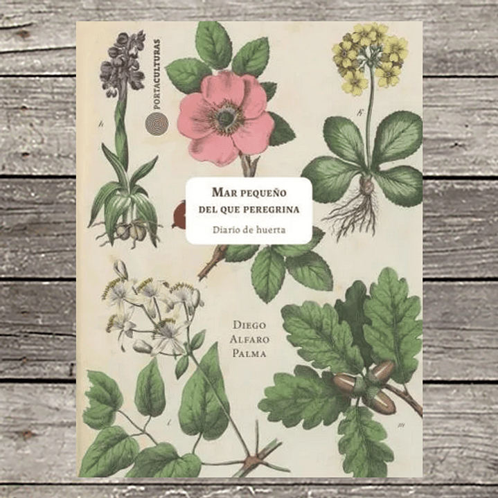 Mar Pequeño Del Que Peregrina - Alfaro, Diego 1