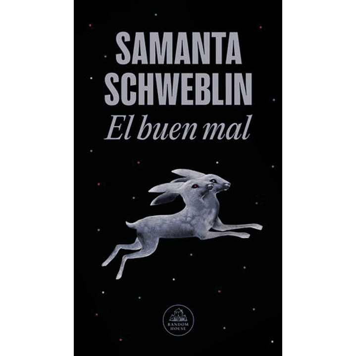 El Buen Mal - Schweblin, Samanta 1