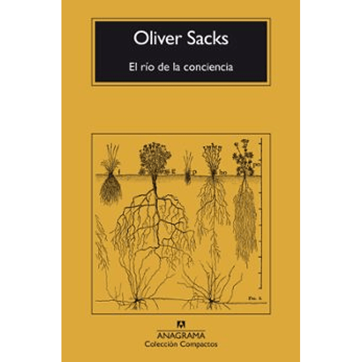 El Rio De La Conciencia  - Sacks, Oliver 1