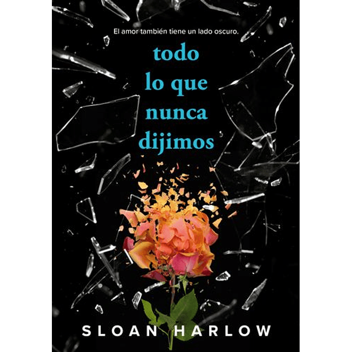 Todo Lo Que Nunca Dijimos - Harlow, Sloan 1
