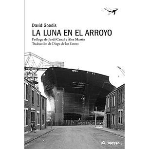 La Luna En El Arroyo - Goodis, David