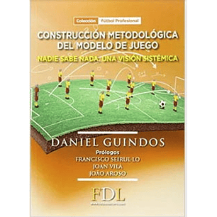 Construccion Metodologica Del Modelo De Juego - Guindos, Daniel