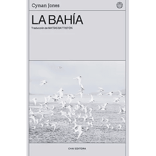 La Bahia - Jones, Cynan