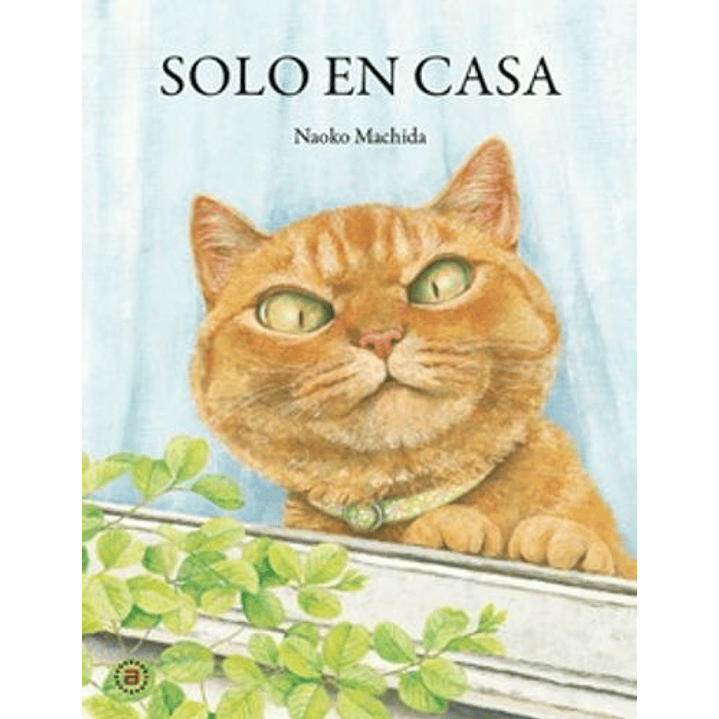 Solo En Casa - Machida, Naoko 1