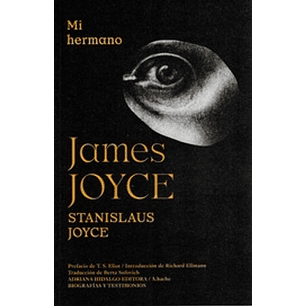 Mi Hermano James Joyce - Joyce, Stanislaus