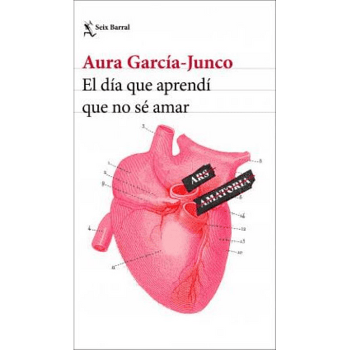 El Dia Que Aprendi Que No Se Amar - Garcia-junco, Aura 1
