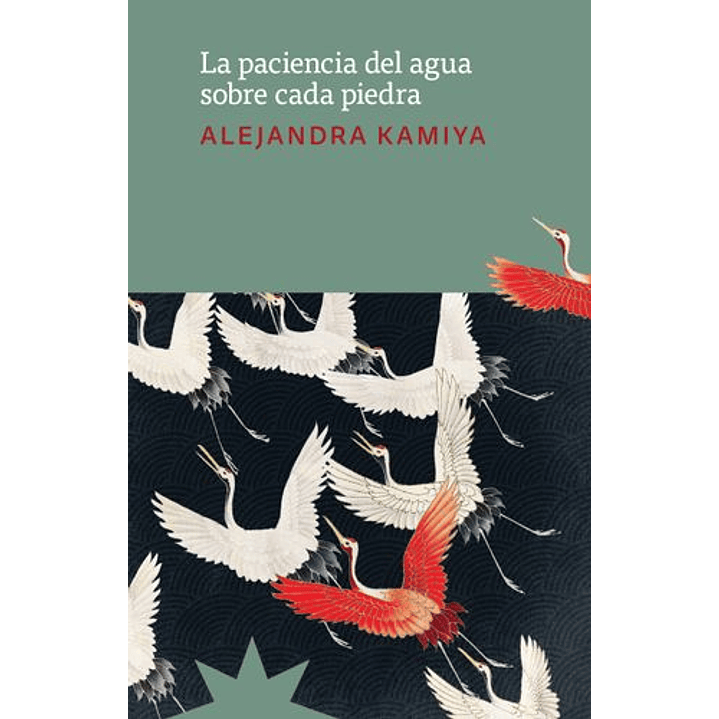 La Paciencia Del Agua Sobre Cada Piedra - Kamiya, Alejandra 1
