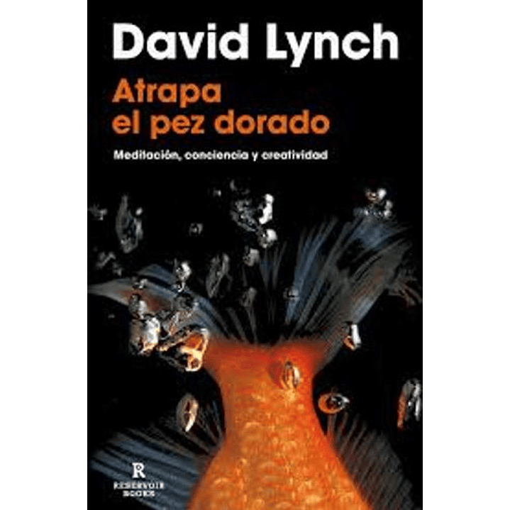 Atrapa El Pez Dorado Meditacion Conciencia Y Creatividad - Lynch, David 1