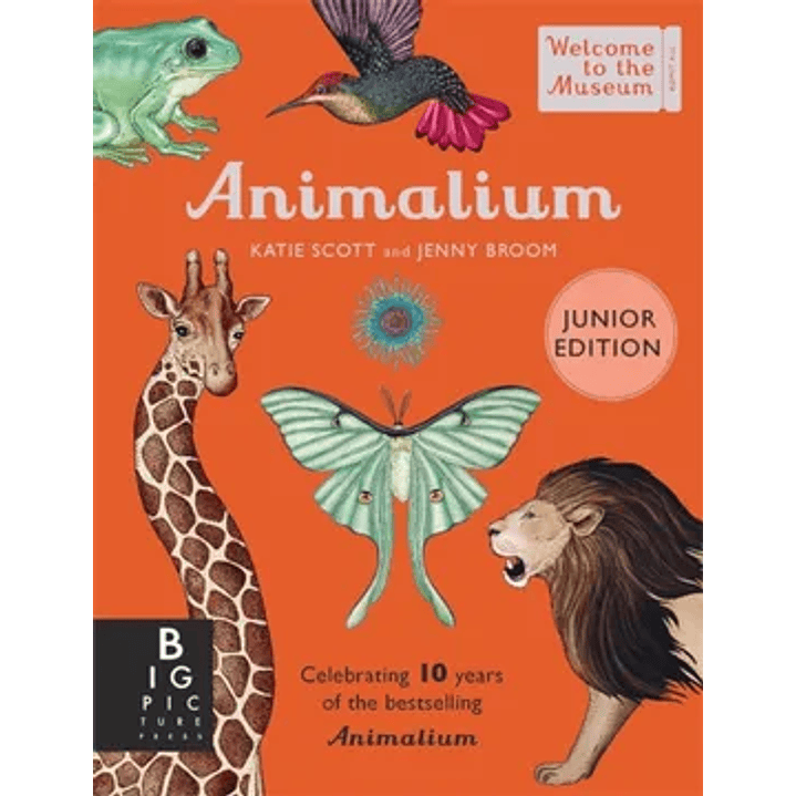 Animalium Junior Edition - Scott, Katie; Broom, Jenny 1