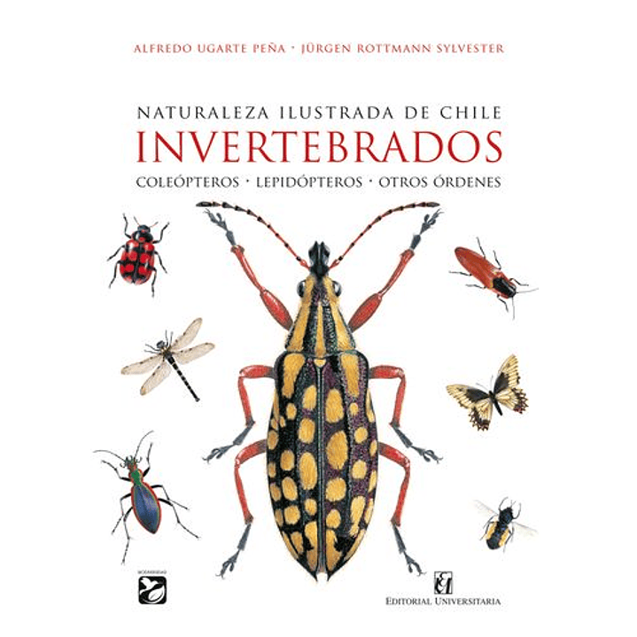 Naturaleza Ilustrada De Chile. Invertebrados - Ugarte, Alfredo; Rottmann, Jurgen 1