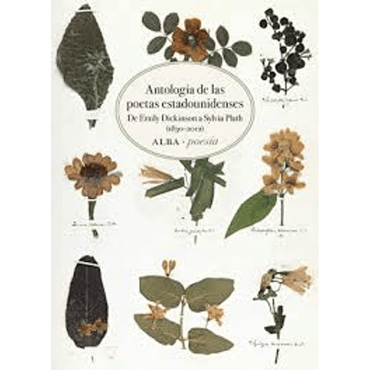 Antologia De Las Poetas Estadounidenses 1830-2012 - Vv.aa. 1