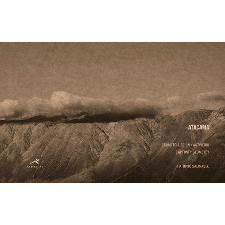 Atacama Geografia De Un Cautiverio - Salinas, Patricio 1