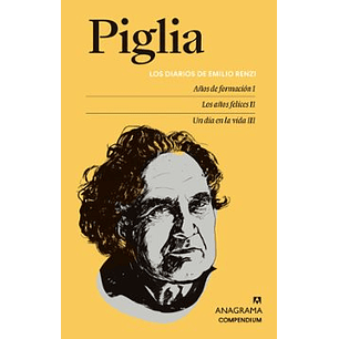 Los Diarios De Emilio Renzi - Piglia, Ricardo