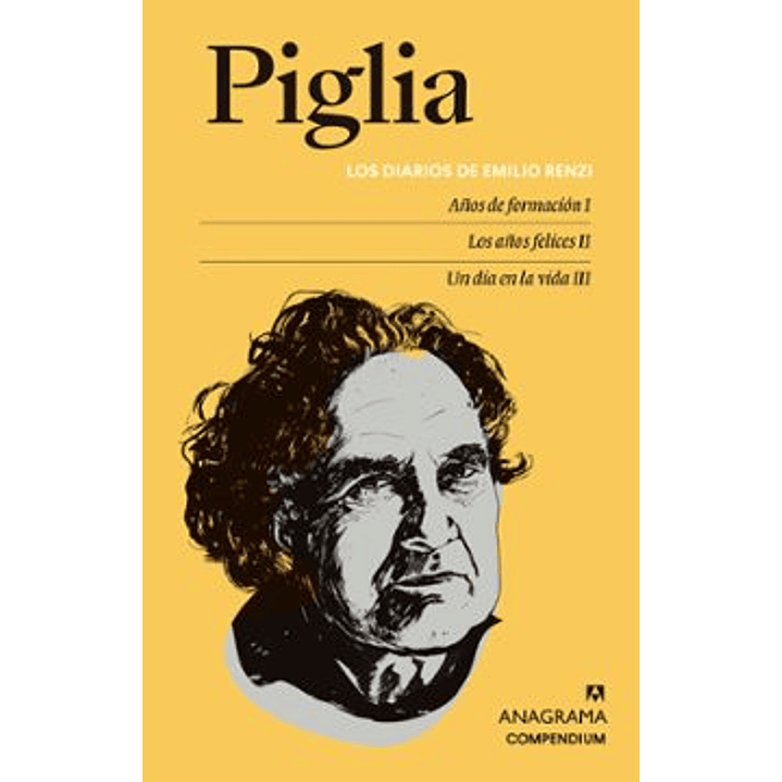 Los Diarios De Emilio Renzi - Piglia, Ricardo 1