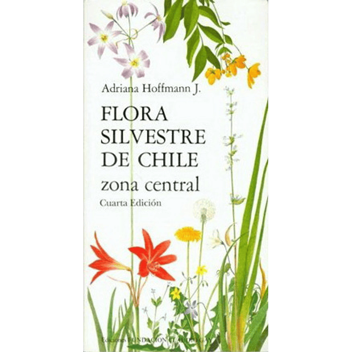 Flora Silvestre De Chile Zona Central - Hoffmann, Adriana 1