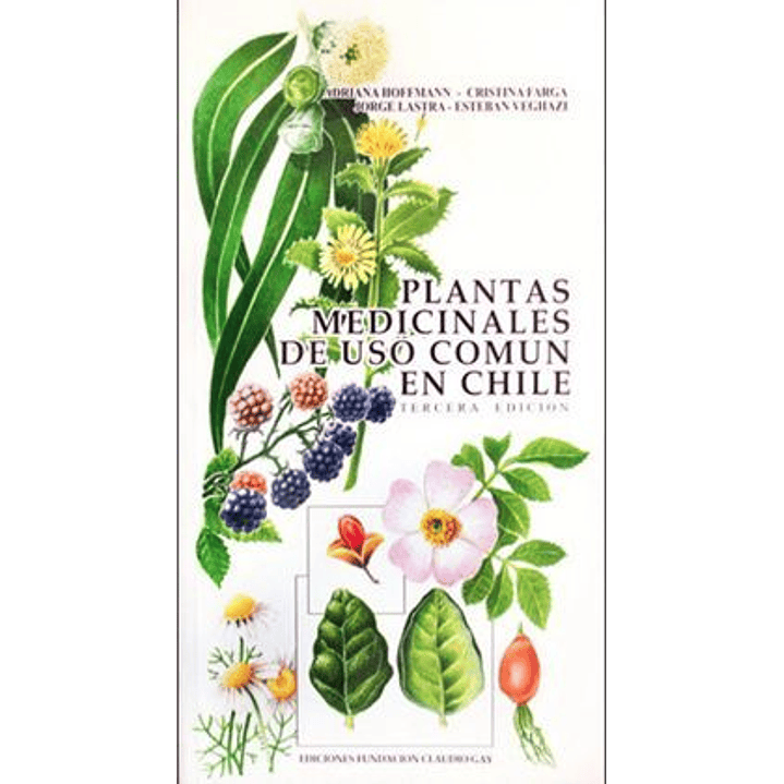Plantas Medicinales De Uso Comun En Chile - Hoffmann, Adriana 1