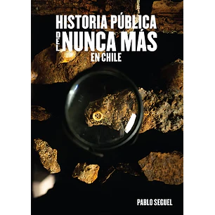 Historia Pública Del Nunca Más En Chile - Seguel, Pablo