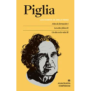 Los Diarios De Emilio Renzi - Piglia, Ricardo