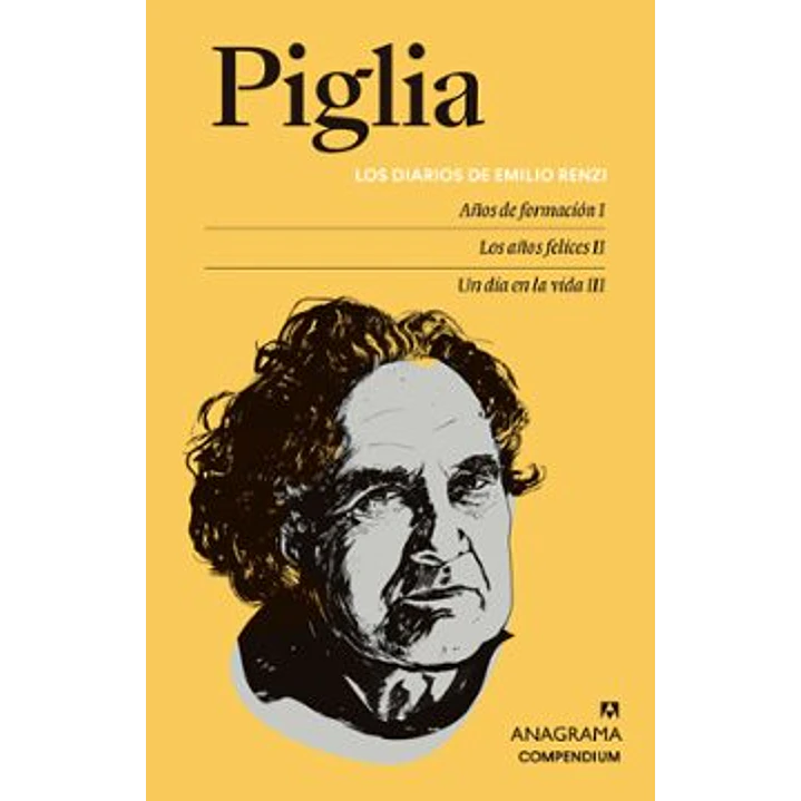 Los Diarios De Emilio Renzi - Piglia, Ricardo 1