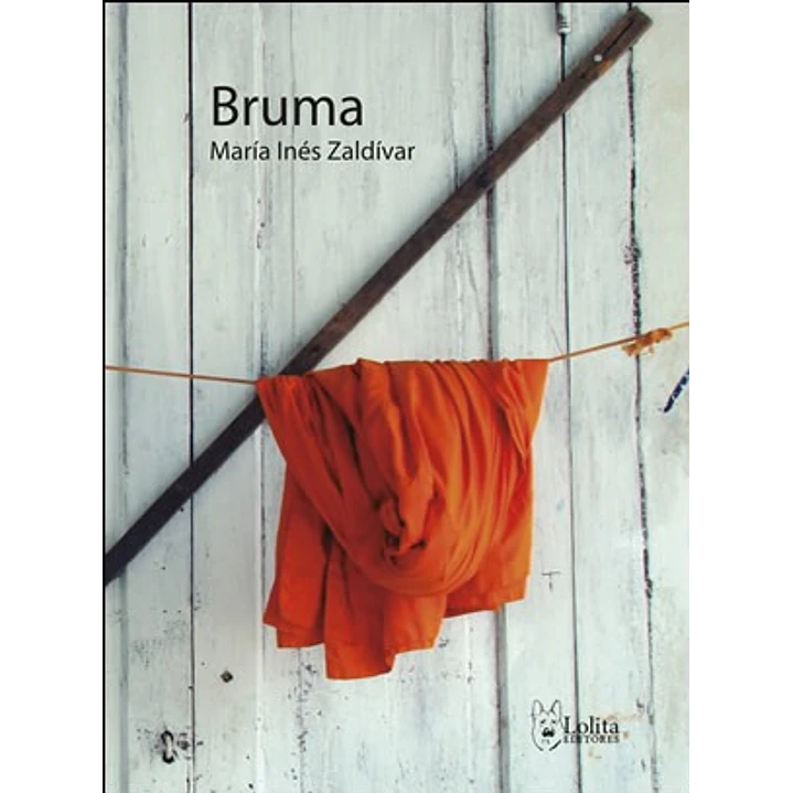 Bruma - Maria Ines Zaldivar 1