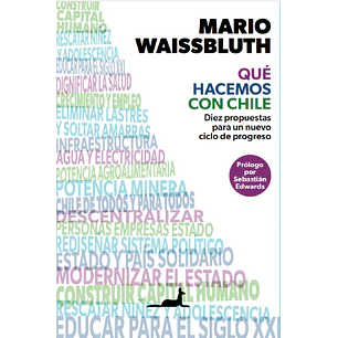 Que Hacemos Con Chile - Waissbluth, Mario