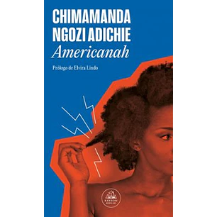 Americanah - Ngozi Adichie, Chimamanda
