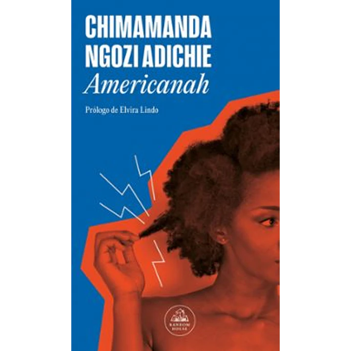 Americanah - Ngozi Adichie, Chimamanda 1