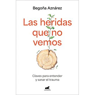 Las Heridas Que No Vemos - Aznarez, Begoña