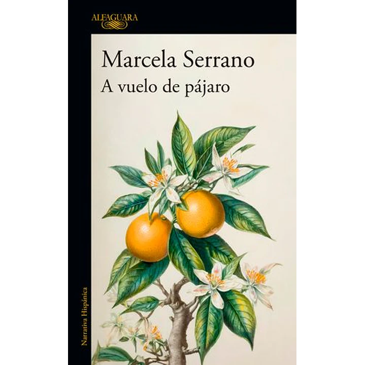A Vuelo De Pajaro - Serrano, Marcela 1