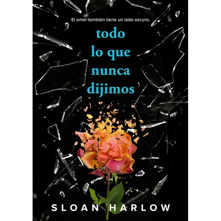 Todo Lo Que Nunca Dijimos - Harlow, Sloan 1